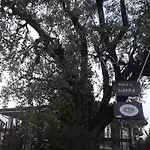 B&B Rosa Del Garda